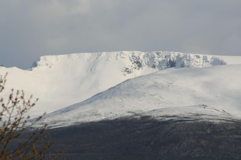 Aviemore Cottage - Cairngorms National Park Exteriör bild